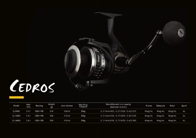 CJ-6000