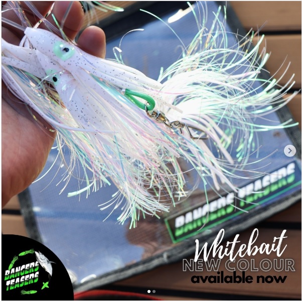 BANGERS TEASERS IRUKANDJI WHITE BAIT DAISY CHAIN