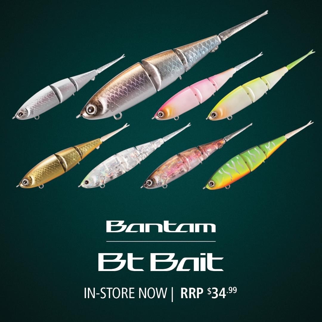 SHIMANO BT BANTAM BAIT 99MM KYORIN WS